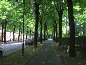 わりと閑散としている駅前から、こういう遊歩道をしばらく歩くと中心へ出る、というつくりの街が多いように思いました。