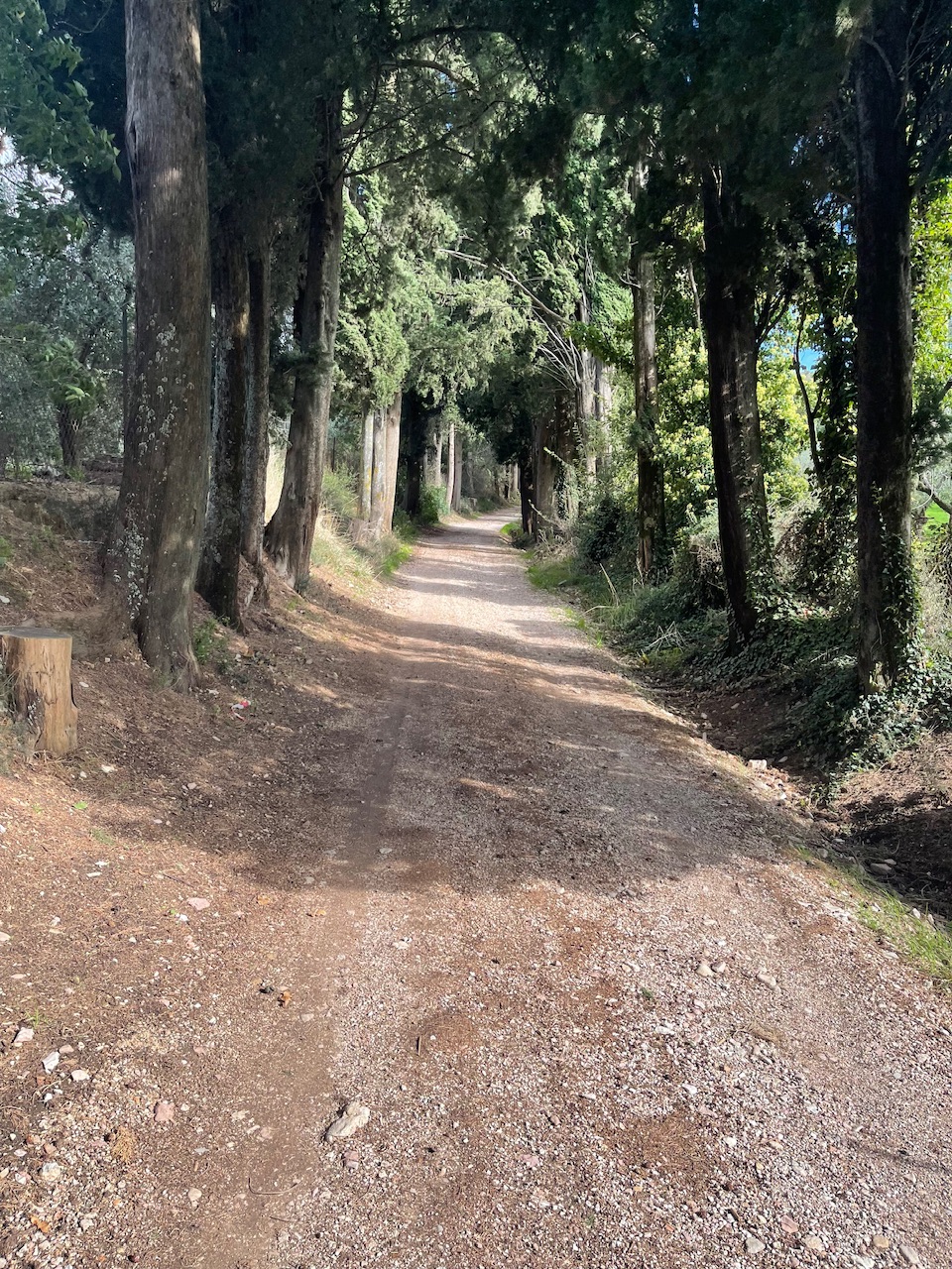 アッシジ、ミノーレ城塞に続く小道